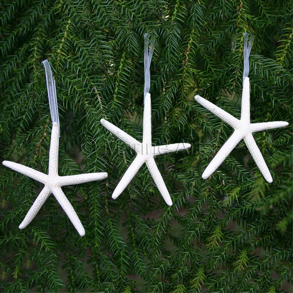 Decoration pack natural cylinder starfish finger