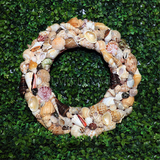 Wreath shell round assorted coloured shells