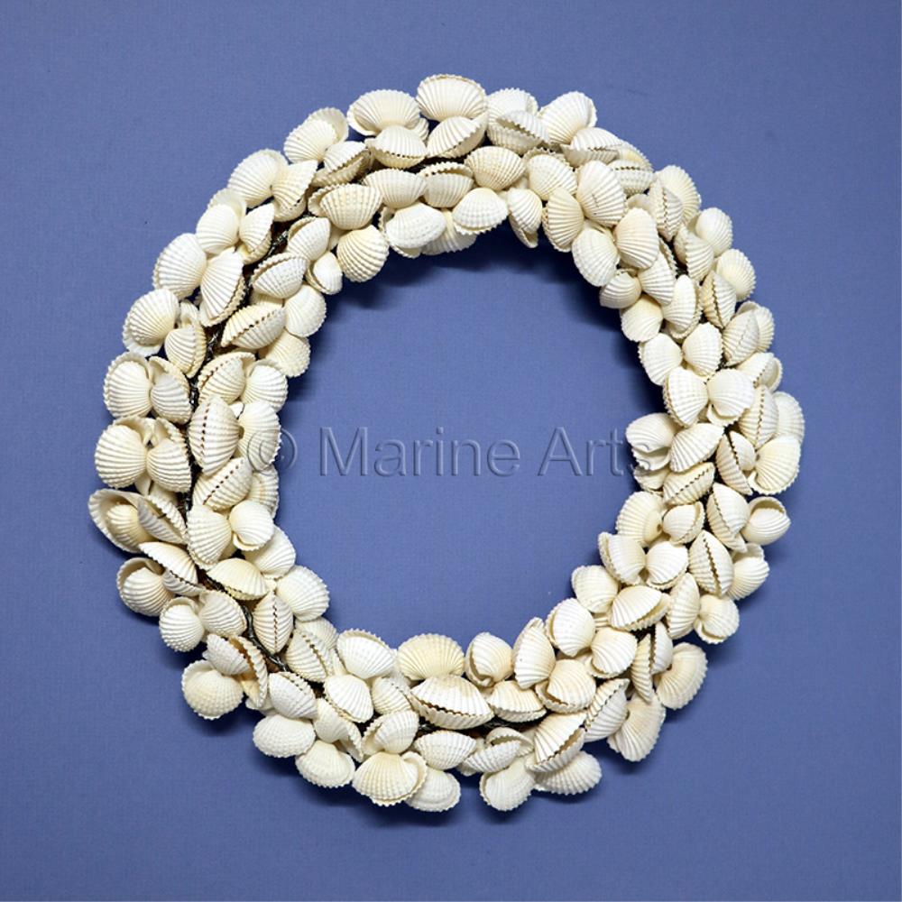 Decoration wired wreath white Anadara granosa cockles
