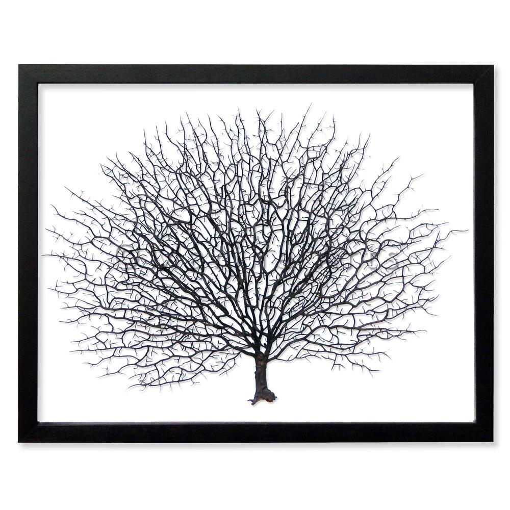 Frame black - no mat - artificial brown seafan on white