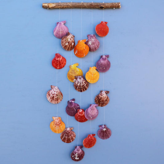 Wall hanger pecten nobilis