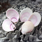 Lima lima pink halves
