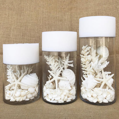 Glass coral and shell pack white, with mirror safety top suitable for candle