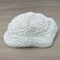 Coral - Signature range (40-45cm)