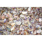 Donax small  (kg)