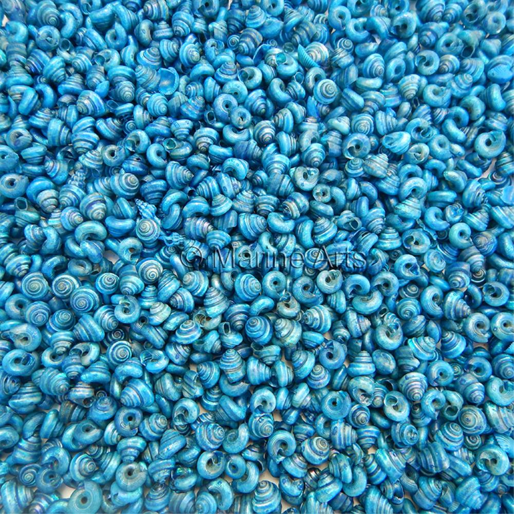 Turbo tiny pearled dyed electric blue  (kg)