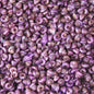 Turbo tiny pearled dyed purple  (kg)