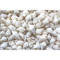 Nassarius reticulatus white small  (kg)