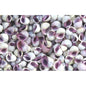 Neritina violacea  (kg)