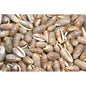 Marginella angustata  (kg)