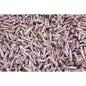 Turritella duplicata pink  (kg)
