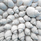 Babylonia spirata white  (kg)