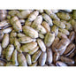 Olive shells ivory white  (kg)