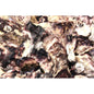 Oyster shell halves flat and deep mixed  (kg)