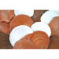 Pecten amusium - sun and moon unedged  (kg)