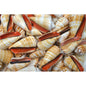 Strombus luhuanus  (kg)