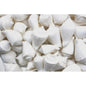 Strombus marginatus white  (kg)