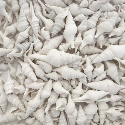 Turris white  (kg)