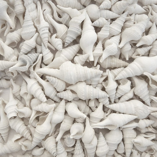 Turris white  (kg)