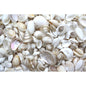 Premium shell mix white and pearl small  (kg)