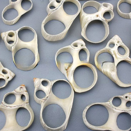 Turbo silvermouth centre cut