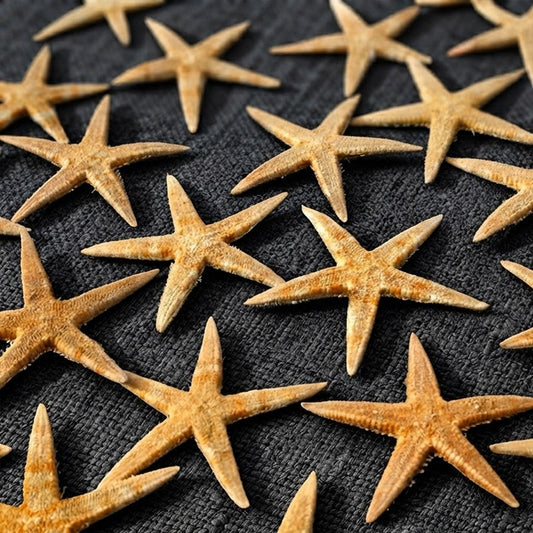 Starfish baby natural