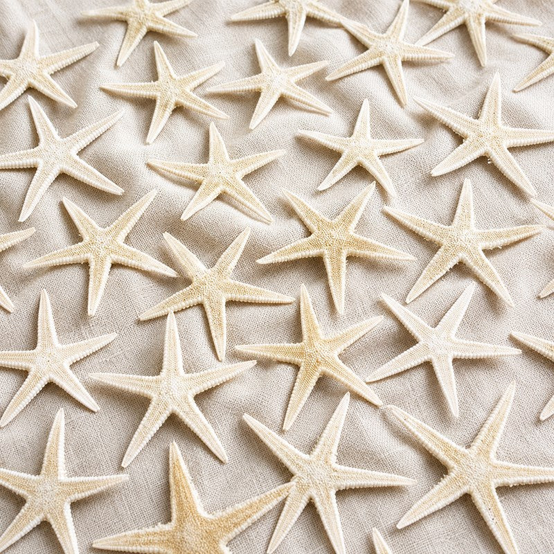 Starfish baby creamy white