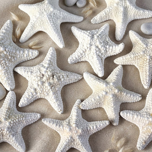 Starfish jungle white