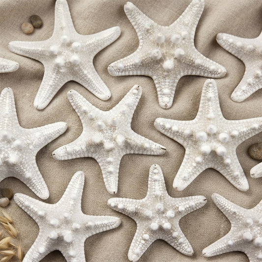Starfish thorny creamy white