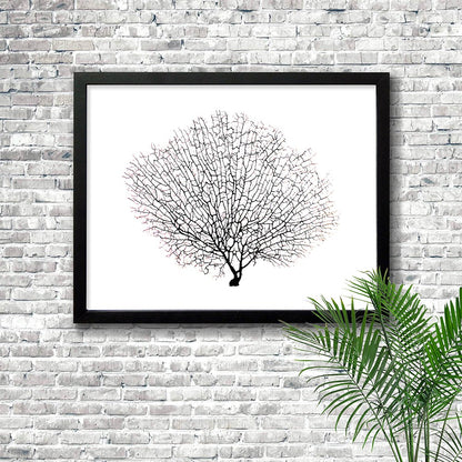 Frame black - no mat - seafan black on white