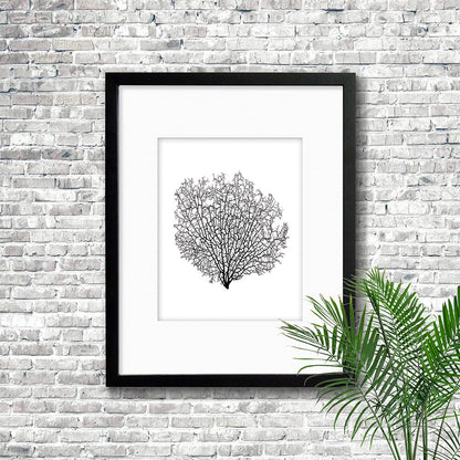 Frame black - white mat - black seafan on white