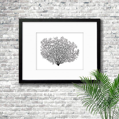 Frame black - white mat - black seafan on white