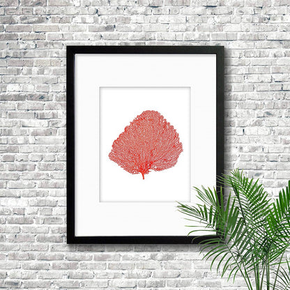 Frame black - white mat - red seafan on white