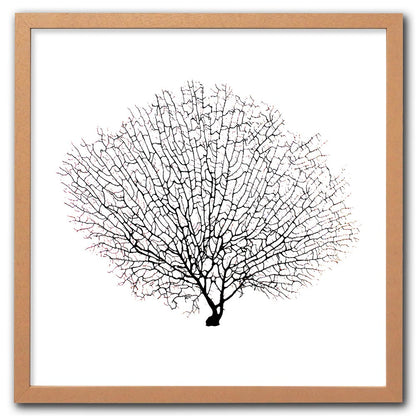 Frame limewhite - no mat - black seafan on white