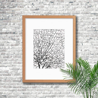 Frame limewhite - white mat - black seafan on white filled