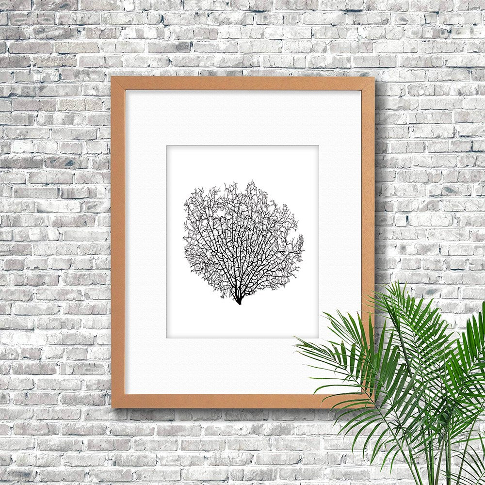 Frame limewhite - white mat - black seafan on white
