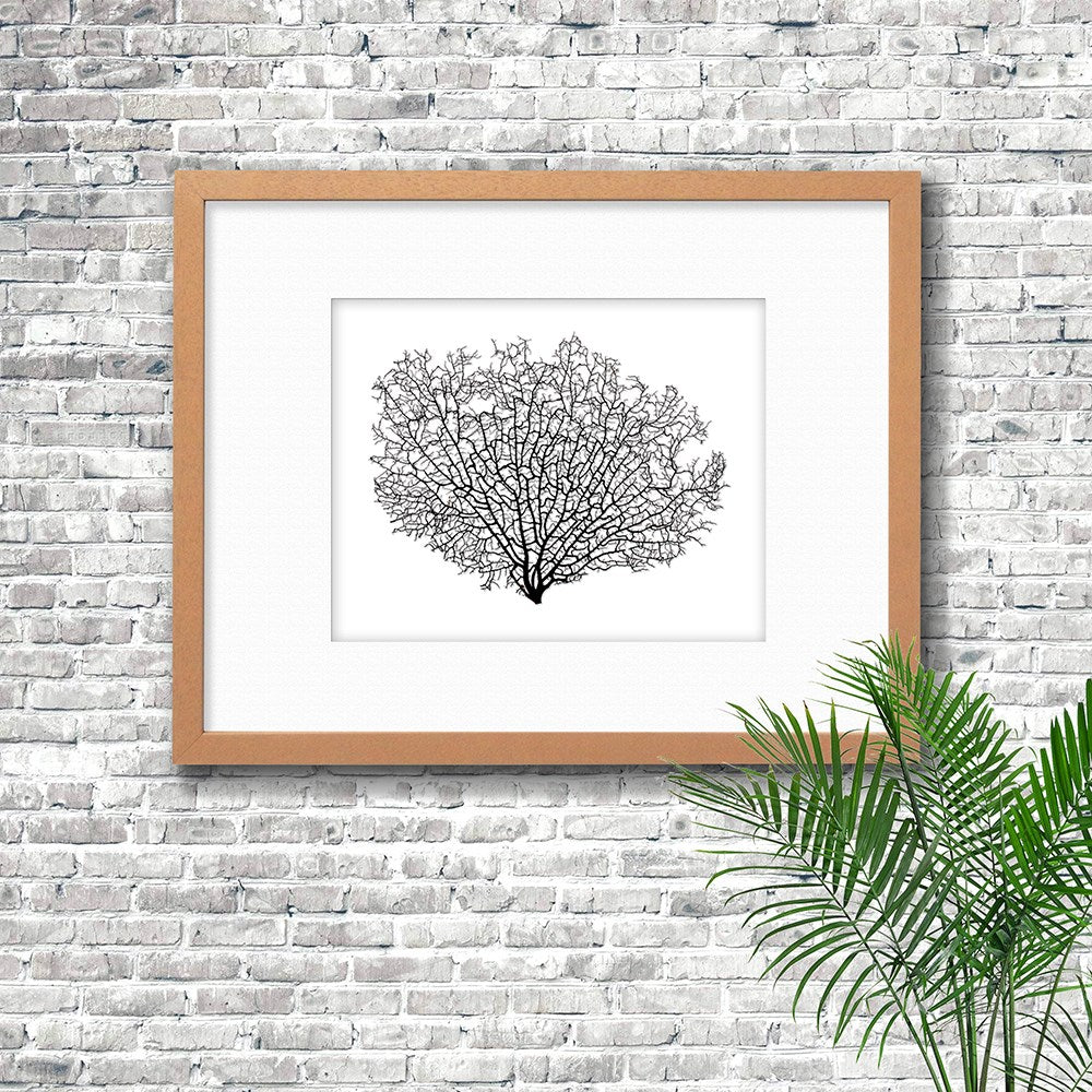 Frame limewhite - white mat - black seafan on white