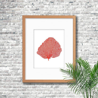 Frame limewhite - white mat - red seafan on white