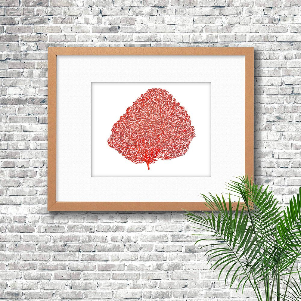 Frame limewhite - white mat - red seafan on white