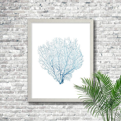 Frame white - no mat - blue seafan on white