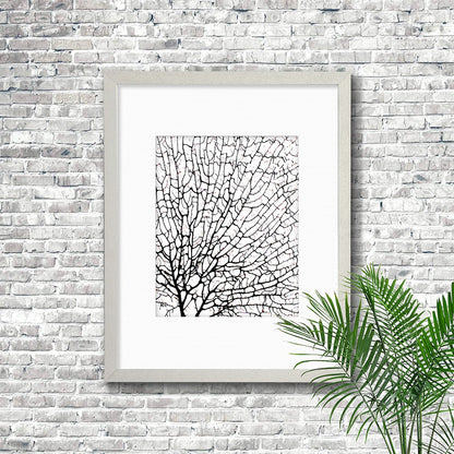 Frame white - white mat - black seafan on white filled