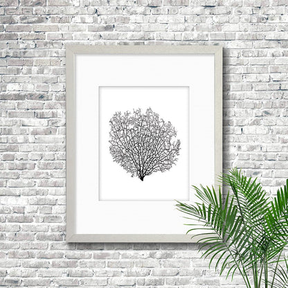 Frame white - white mat - black seafan on white
