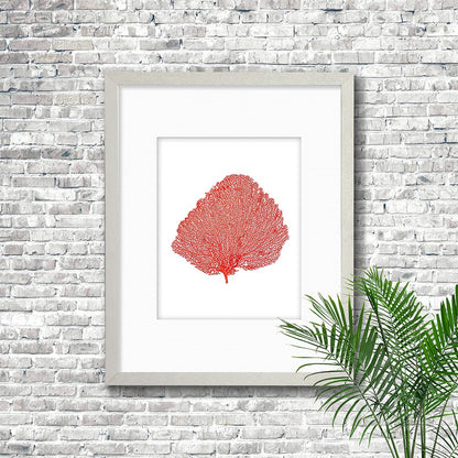 Frame white - white mat - red seafan on white
