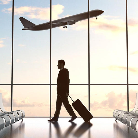 CITES Personal baggage permit (Seriatopora)