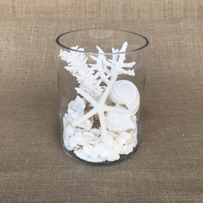 Glass coral and shell pack white, with mirror safety top suitable for candle