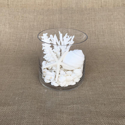 Glass coral and shell pack white, with mirror safety top suitable for candle