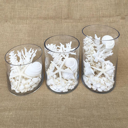 Glass coral and shell pack white, with mirror safety top suitable for candle