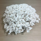 Coral - Signature range (30-35cm)