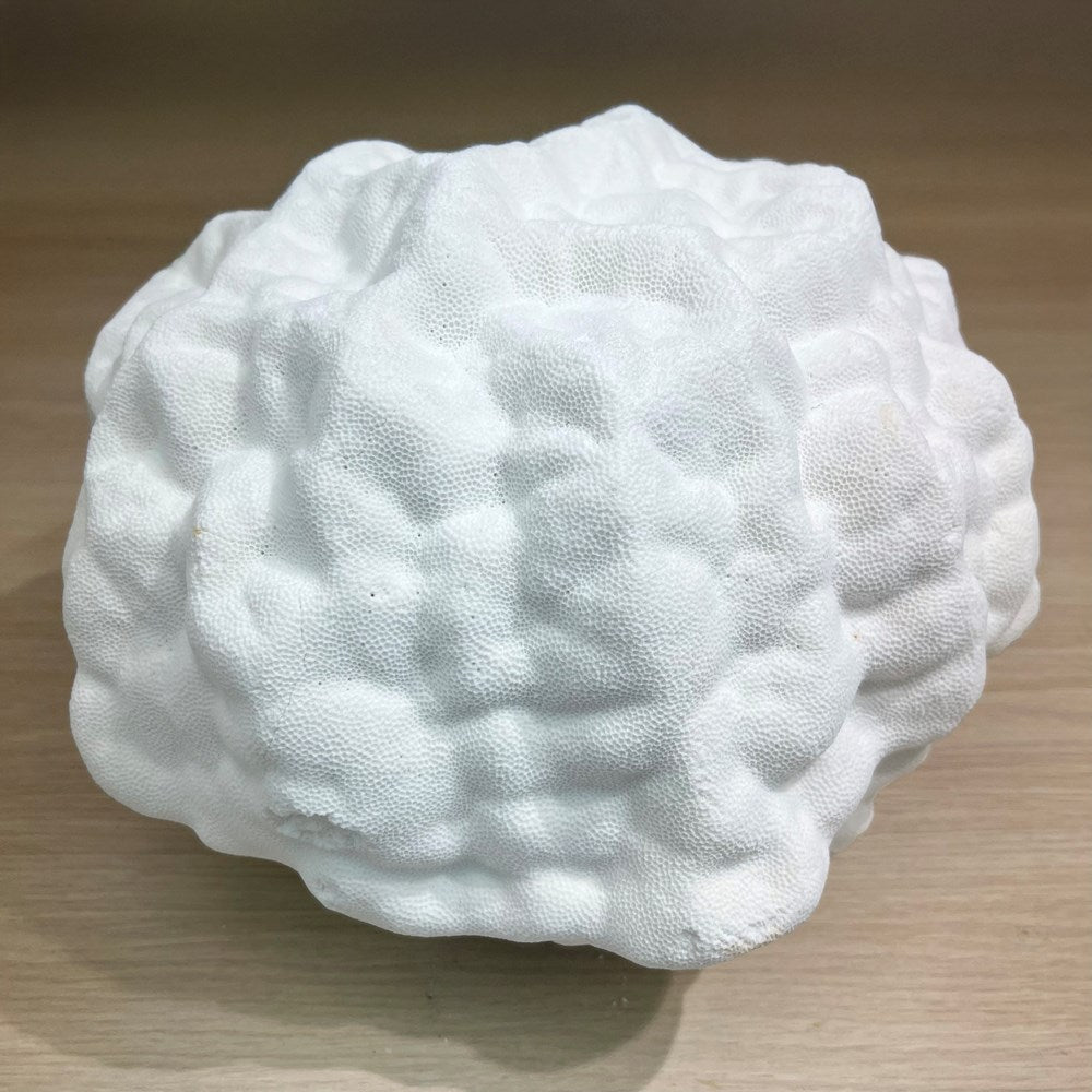 Coral - Signature range (30-35cm)