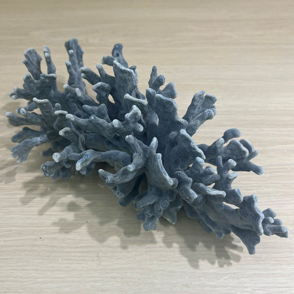 Coral - Signature range (30-35cm)